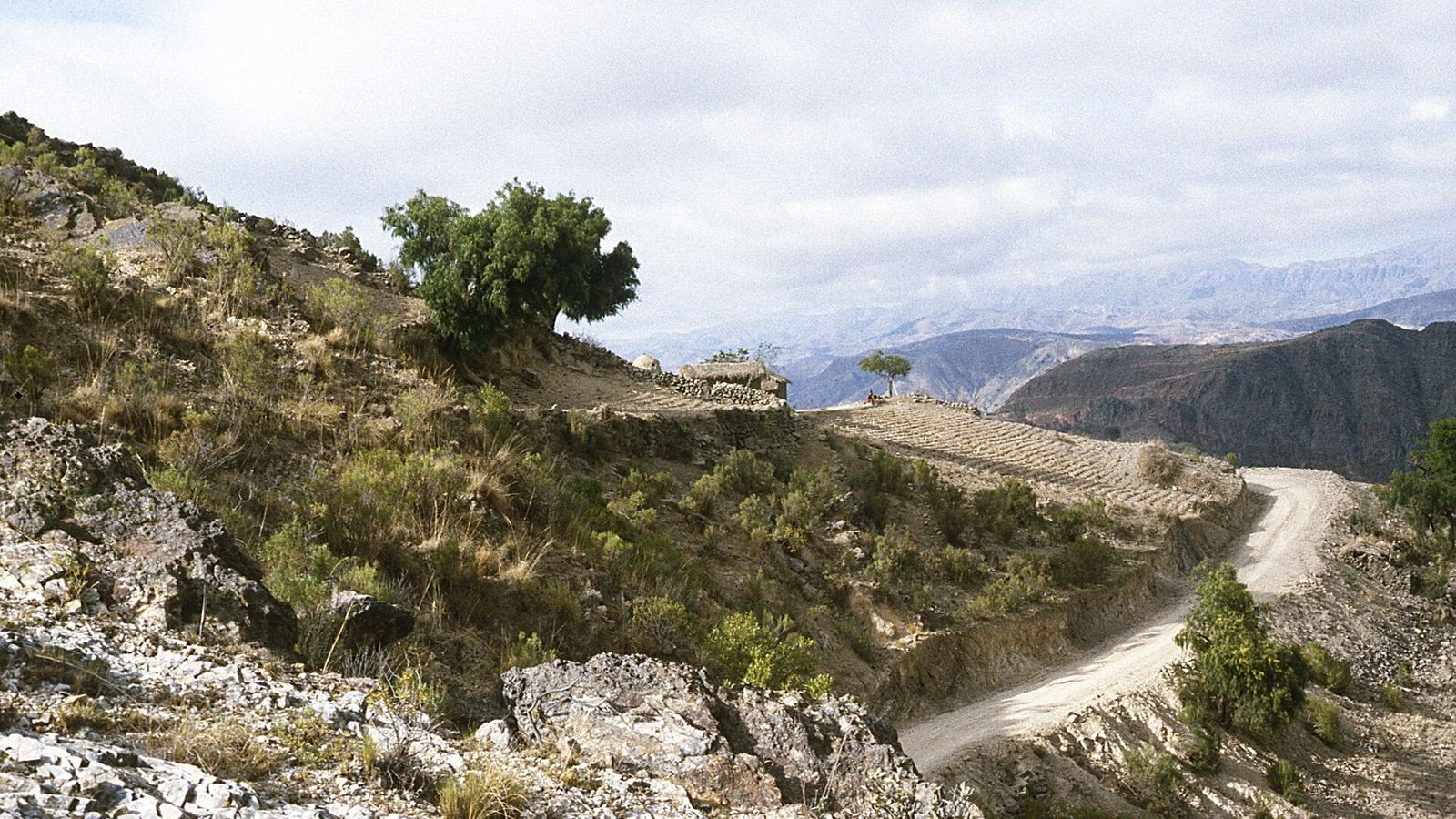 Dirt mountain road with terraced fields on the road from Sucre to Poroma, Chuquisaca Department, Bolivia