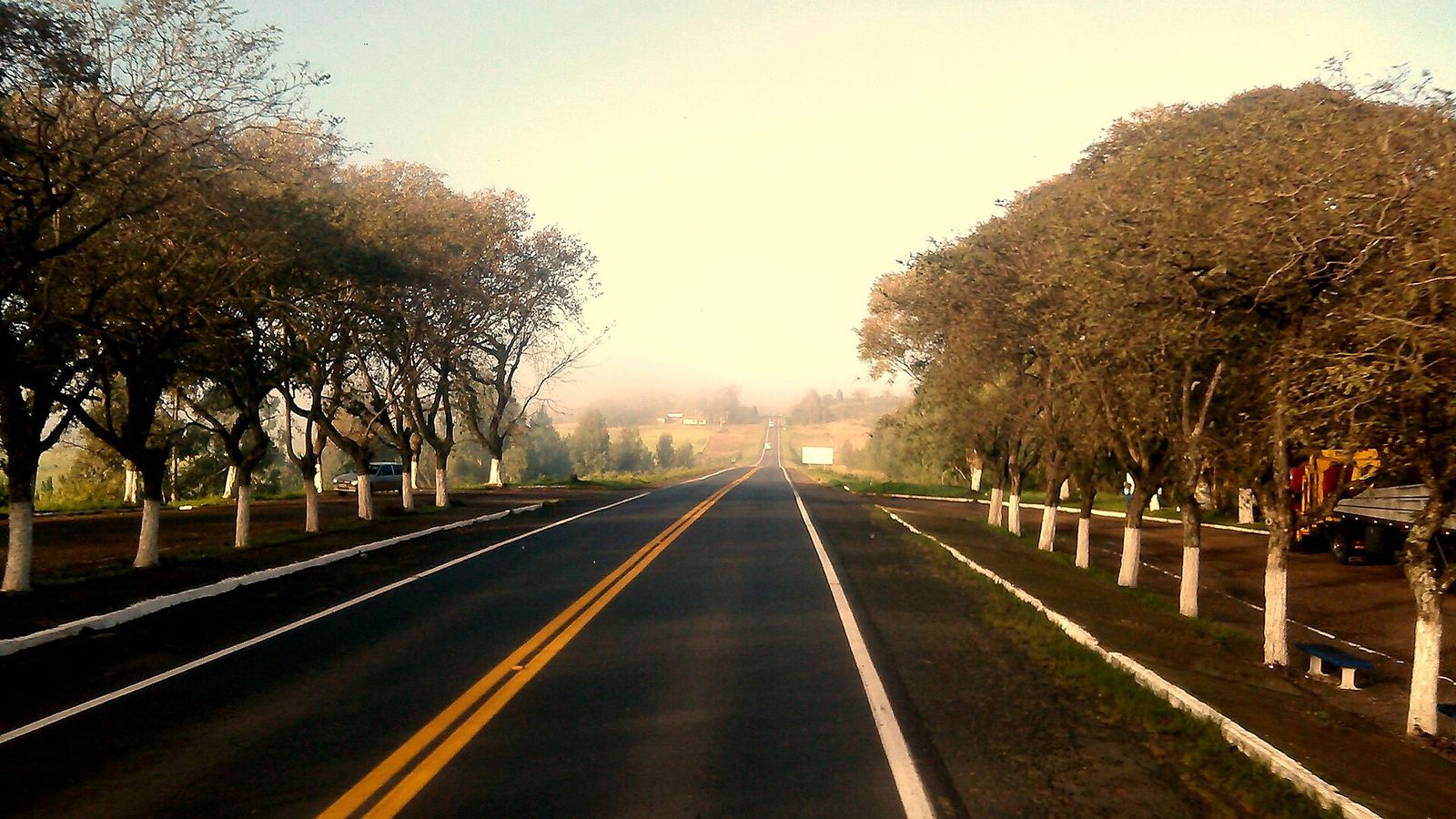 Tree-lined paved highway at dawn with mist, Brazil (Wiki Loves Earth 2014 Brazil)