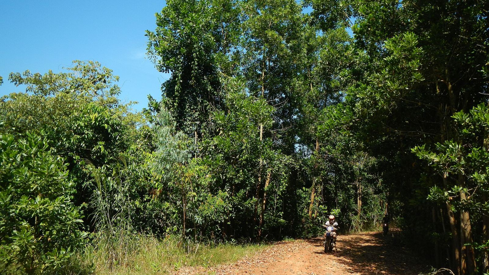 Red dirt road in the forest with a motorbike, Prey Nob District