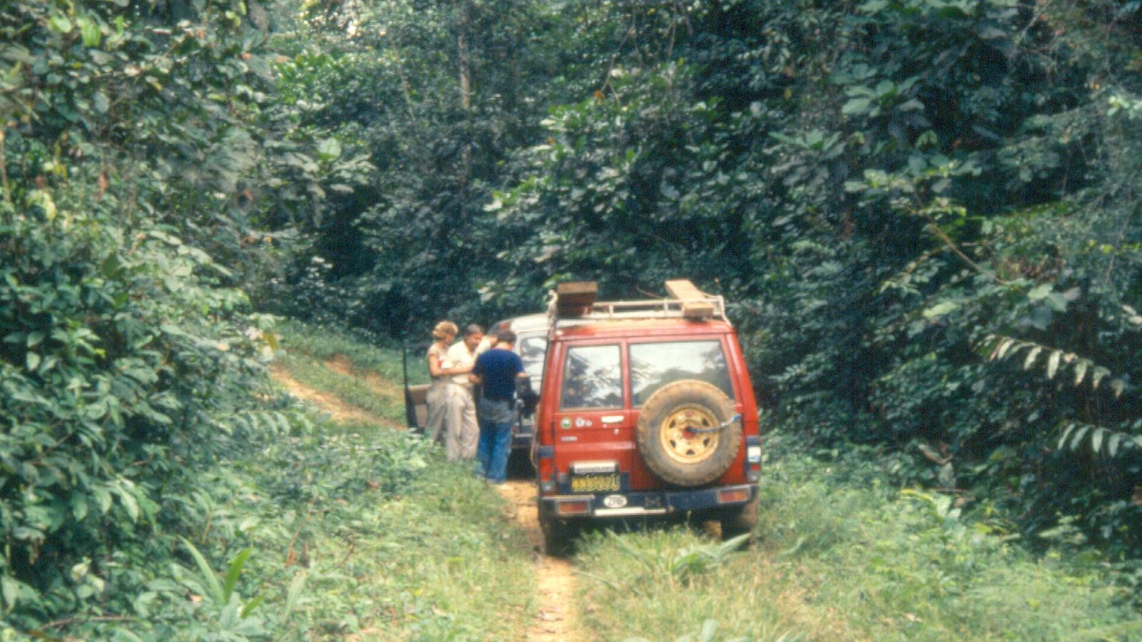 Red 4x4 on a narrow rainforest track on the Ubundu-Kisangani road, DR Congo (digitised 1989 slide)