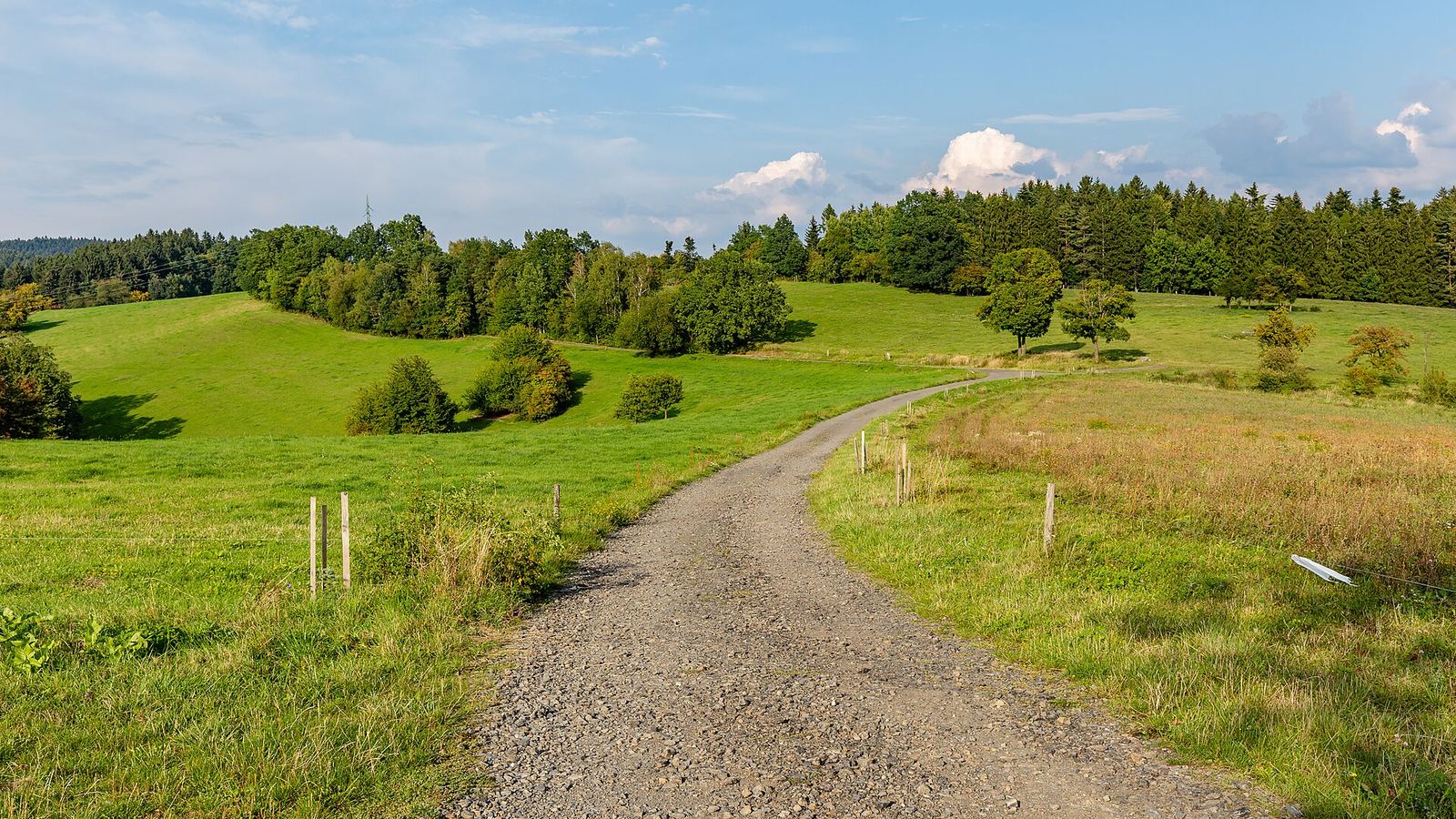 Gravel road across meadows between Horni Lidec and Pulcin, Javorniky, Czech Republic
