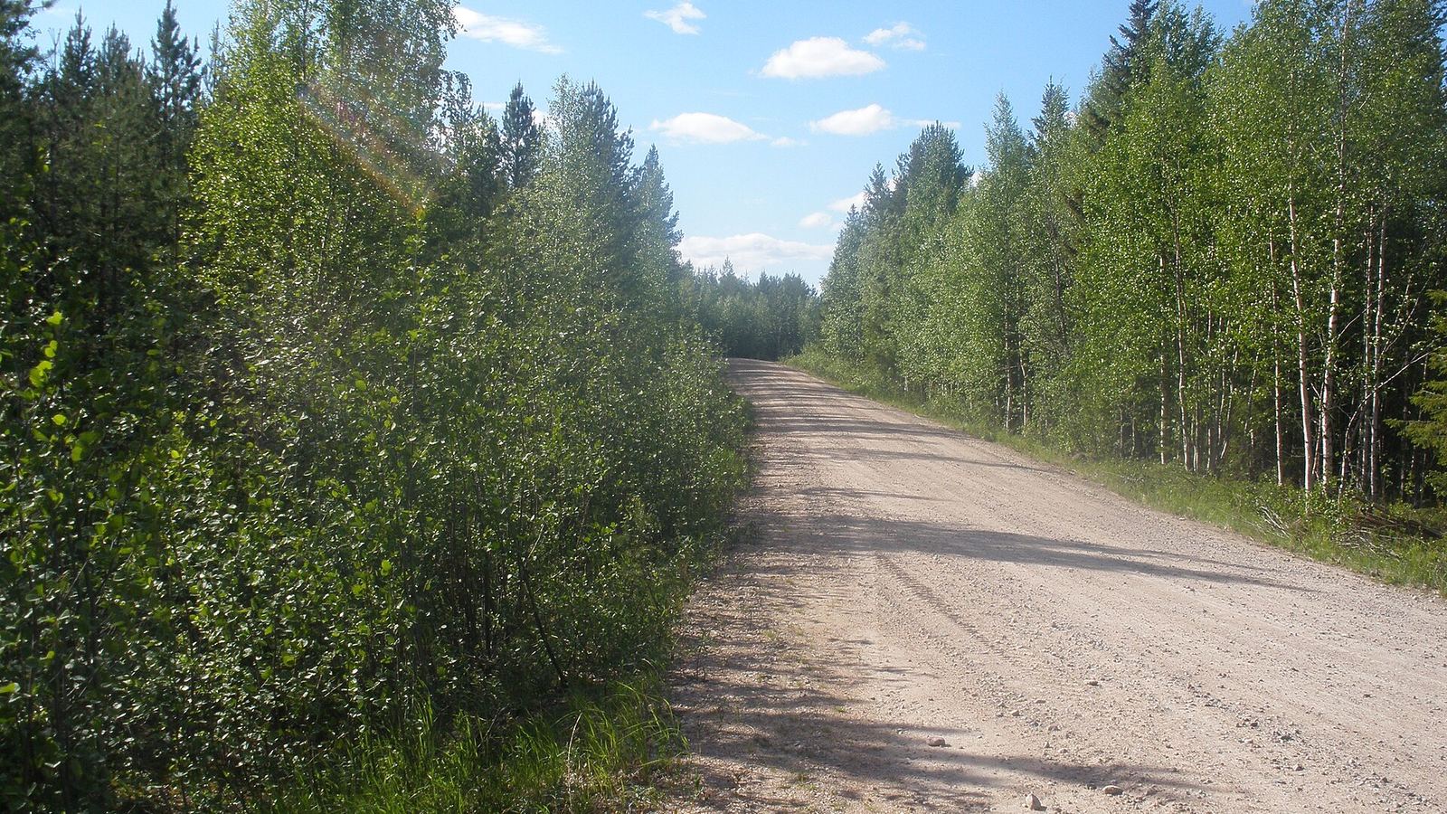 Gravel road through birch and pine forest in Rovaniemi, Lapland, Finland
