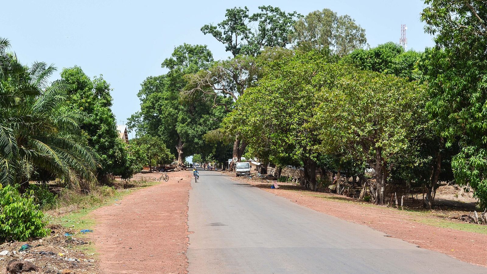 Paved village road under shade trees with a distant cyclist, Guinea-Bissau
