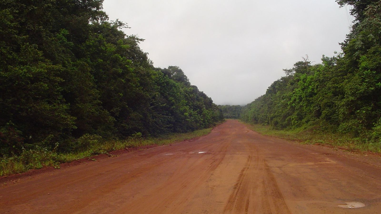 Red laterite dirt road through rainforest, Mabura Road south of Linden, seen from a vehicle