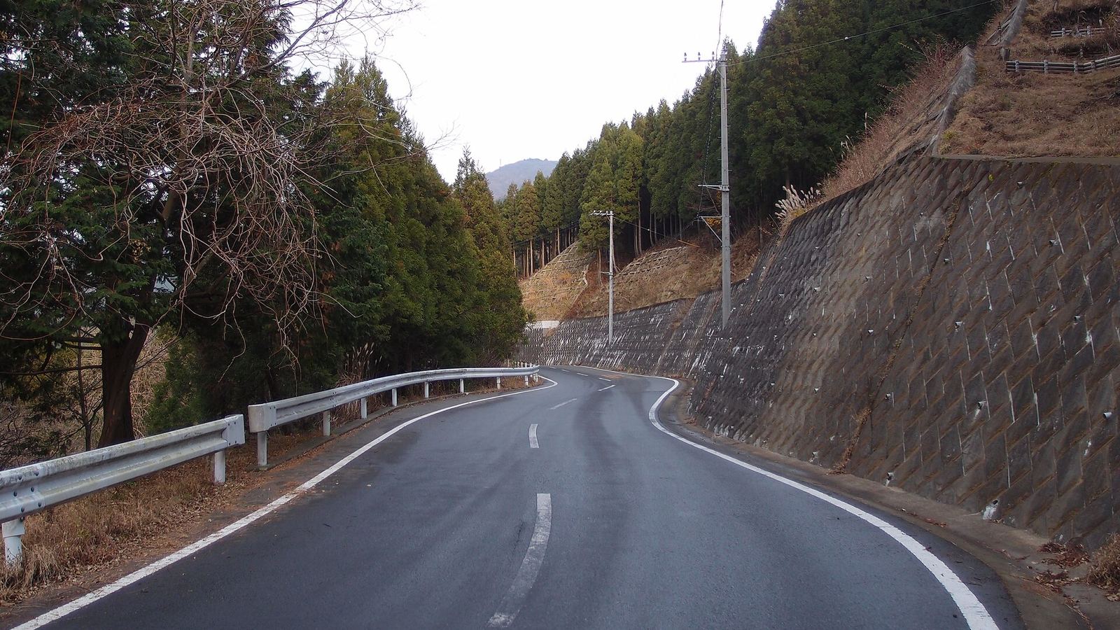 Mountain road at Yabitsu Pass with guardrails and a cedar forest