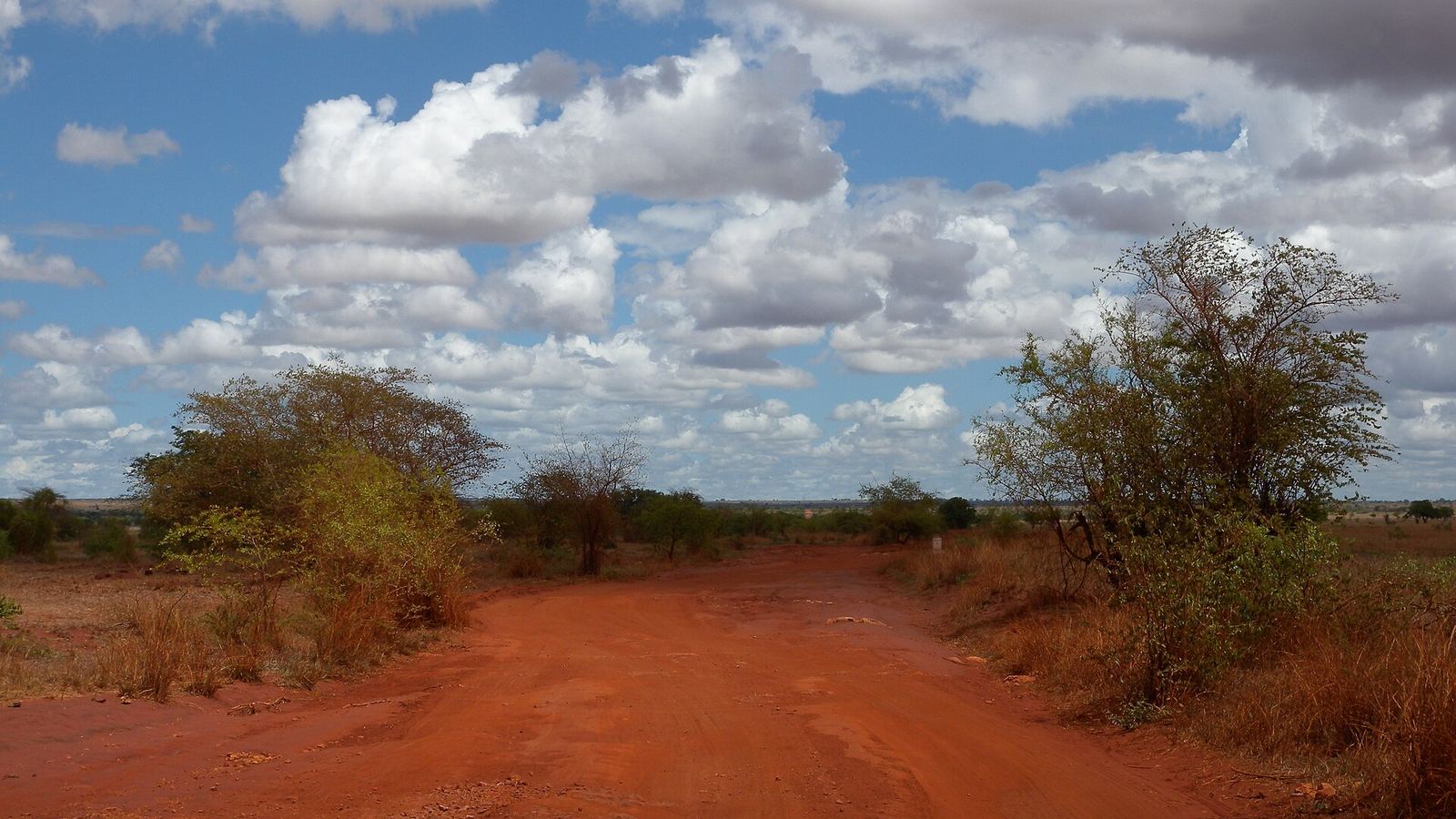 Red laterite dirt road through dry savanna, south-western Madagascar