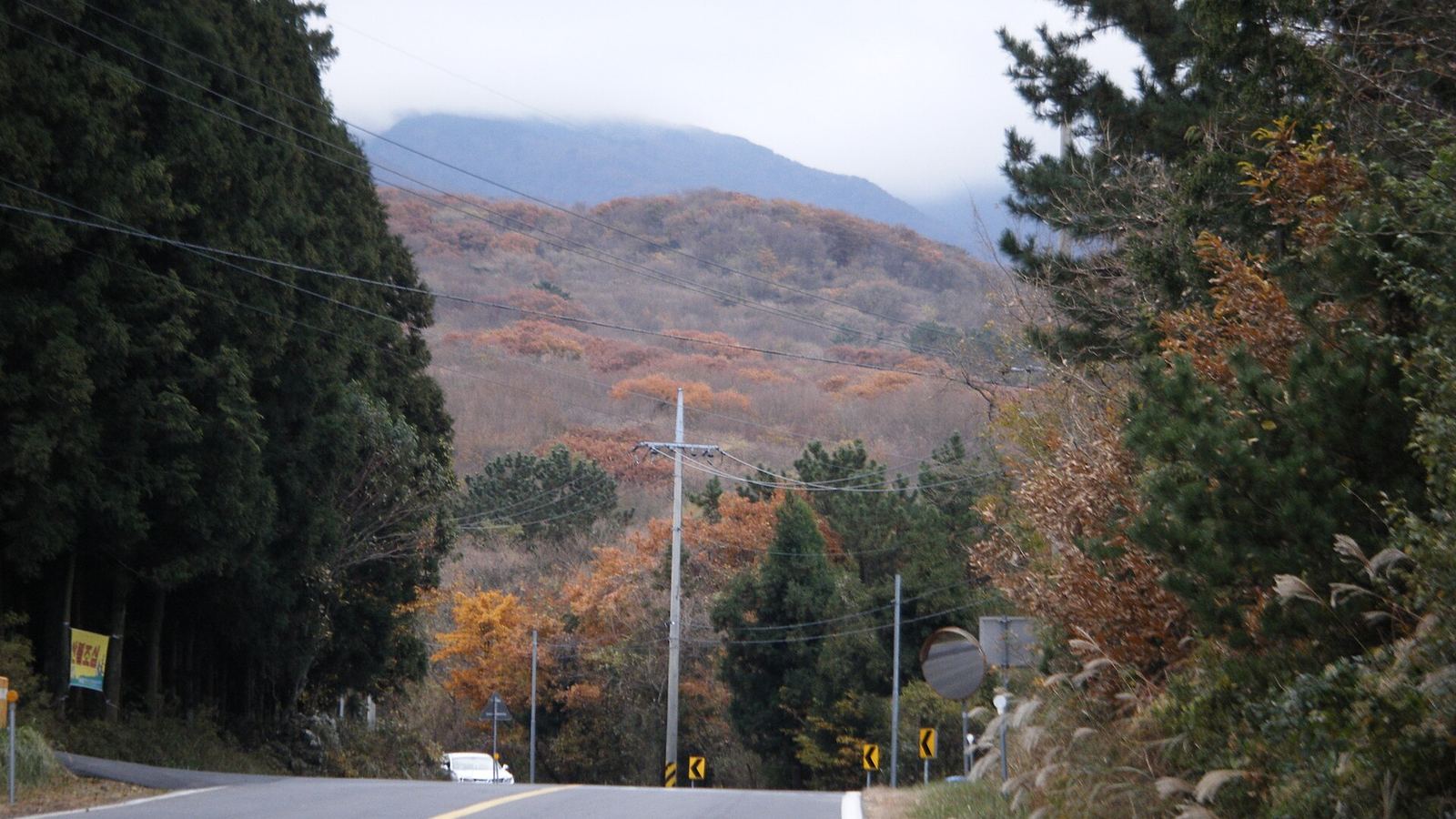 Road through the foothills of Mount Hallasan, Jeju, in autumn