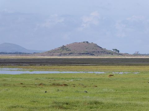 Observation Hill