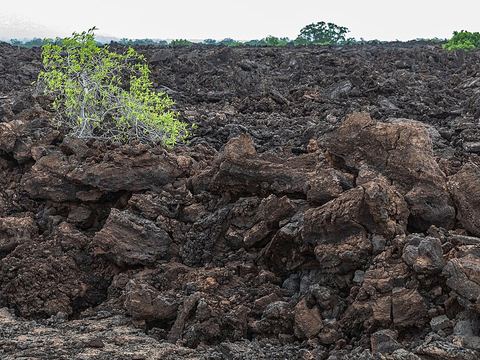 Shetani Lava Flow