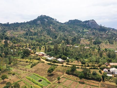 Taita Hills