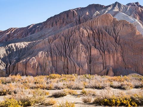 Afton Canyon