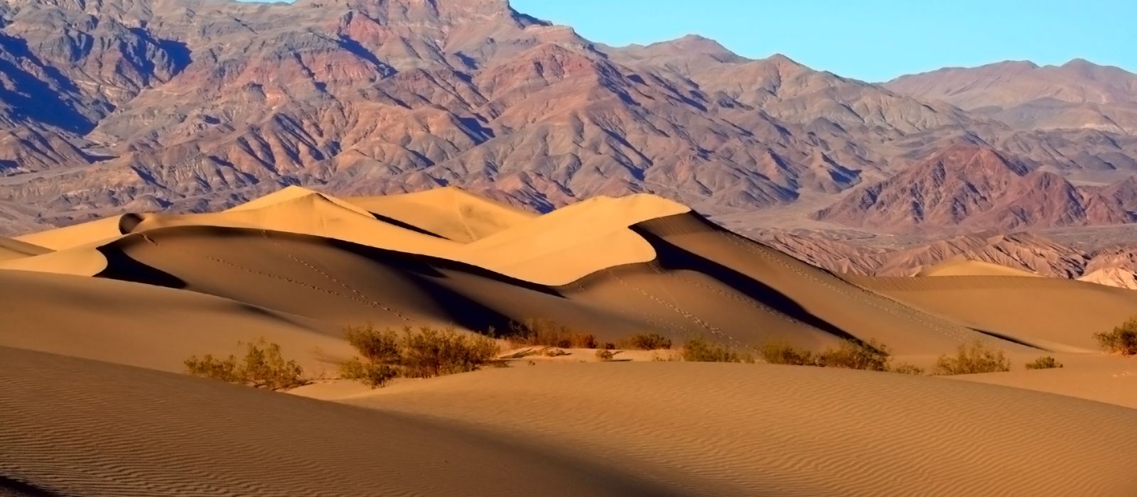 Sand dunes in Death Valley with the mountains behind