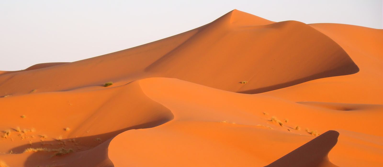 Le dune dorate dell'Erg Chebbi vicino a Merzouga