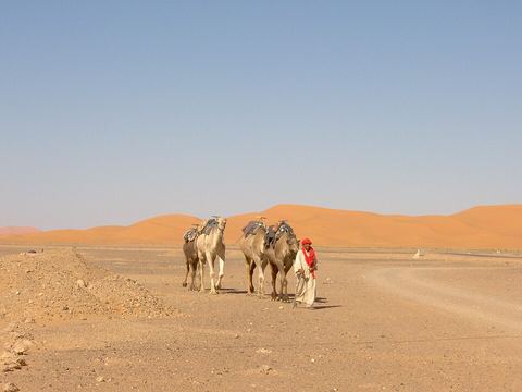 Khamlia