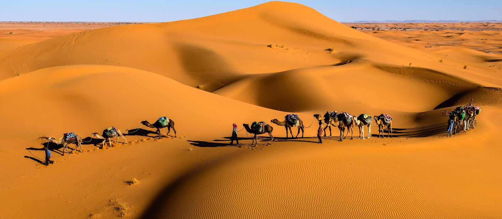 Una carovana di dromedari attraversa le dune dell'Erg Chigaga
