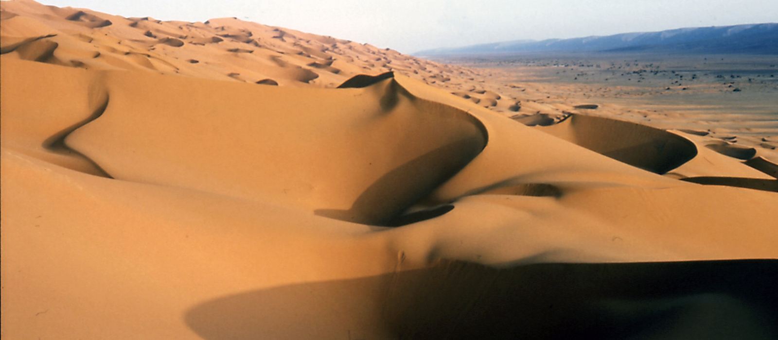 A megadune on the eastern edge of the Erg Tifernine, with the Djebel Essaoui Mellene on the horizon