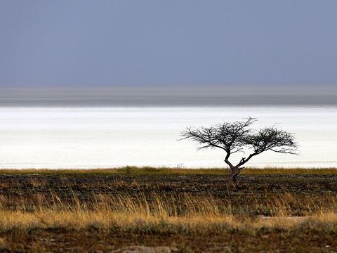 Etosha Pan
