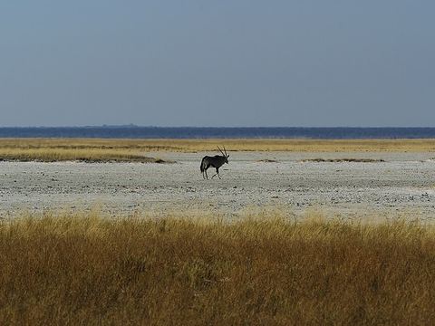 Fisher's Pan