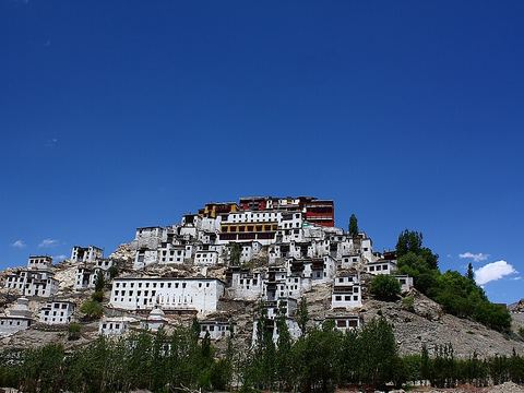 Thiksey Monastery