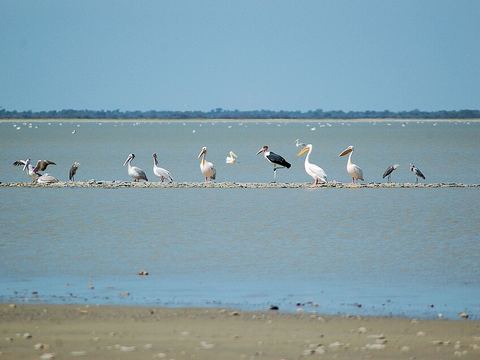Nata Bird Sanctuary