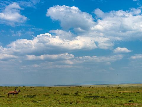 Maasai Mara National Reserve