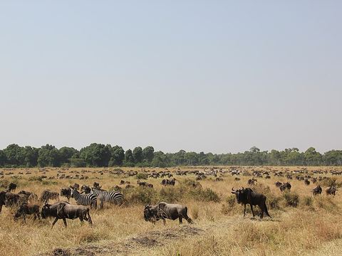 Mara Triangle