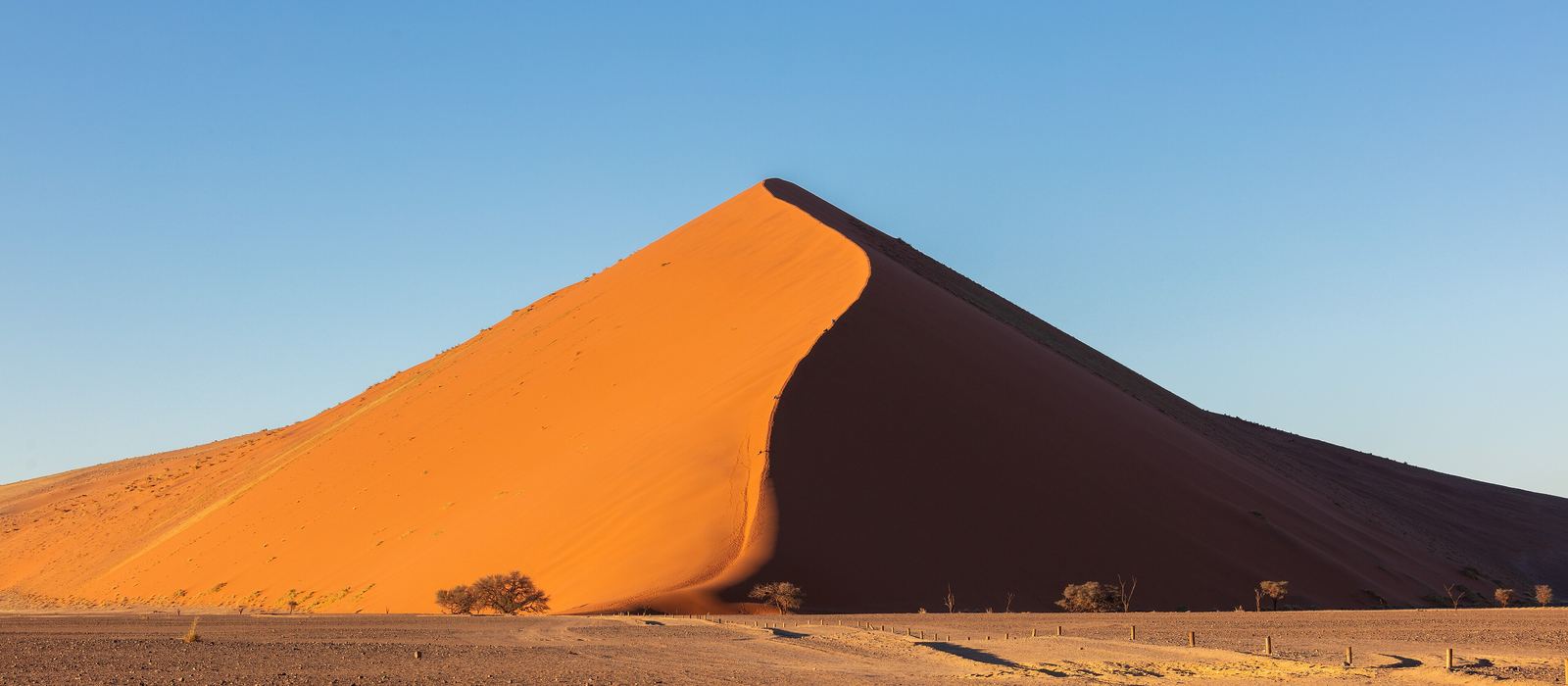 A red dune in the Sossusvlei area