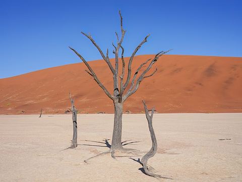 Deadvlei