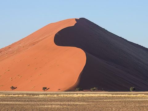 Dune 45