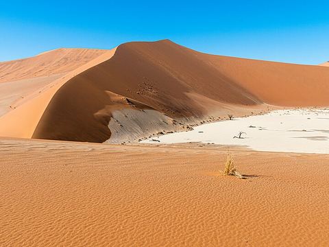Hiddenvlei
