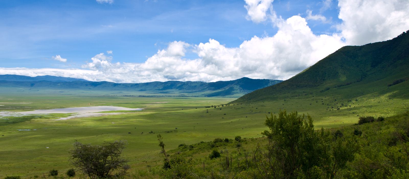 The green floor and walls of the Ngorongoro Crater