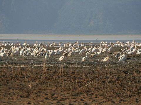 Lake Eyasi