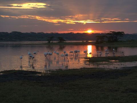 Ndutu