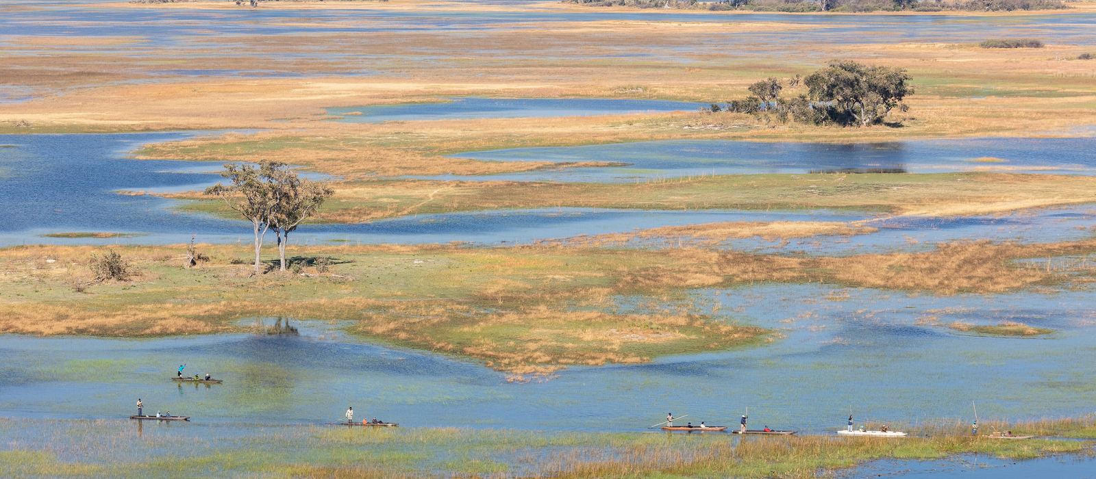 Mokoro che scivolano sui canali allagati del Delta dell'Okavango