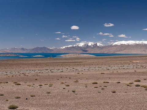 Karakul