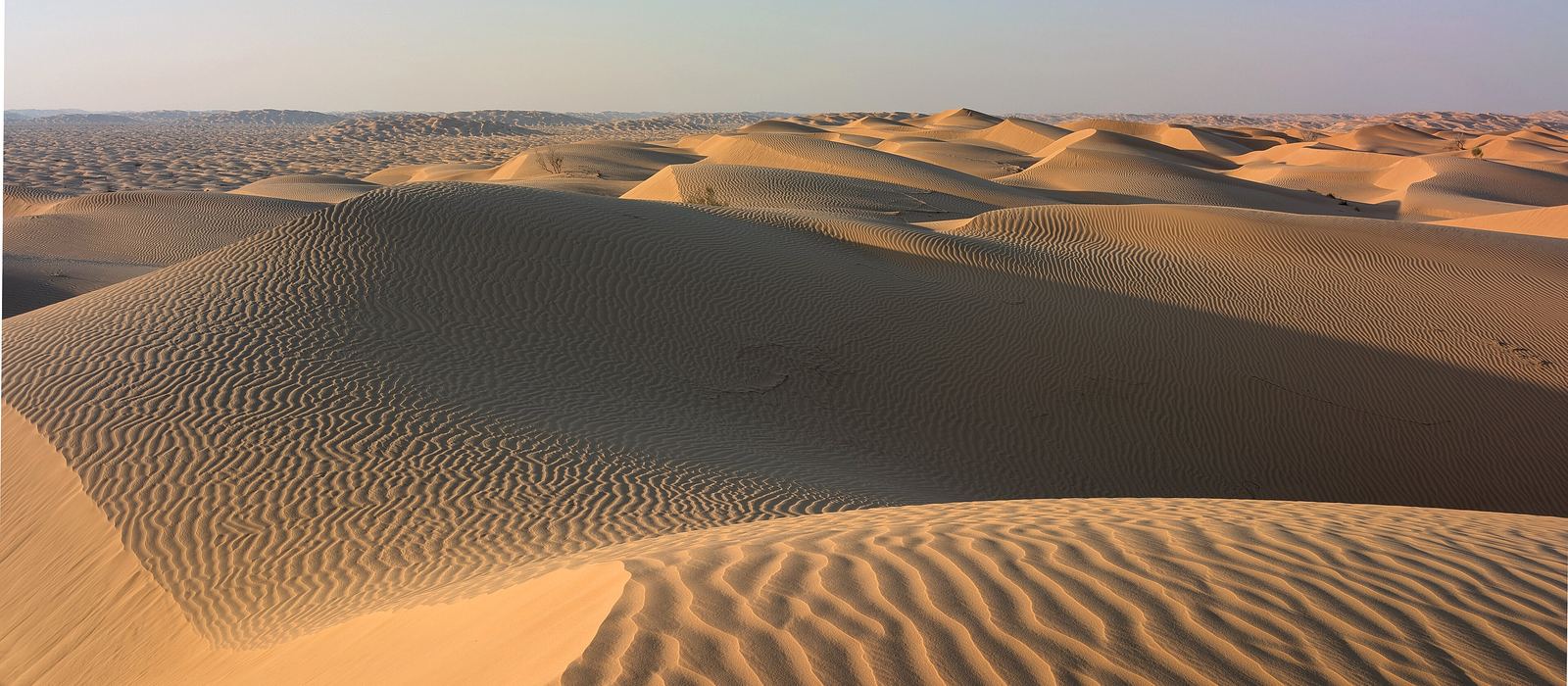Ripples and dunes in the Omani Rub' al Khali