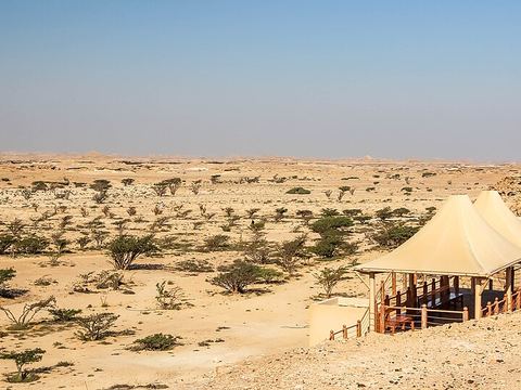 Wadi Dawkah