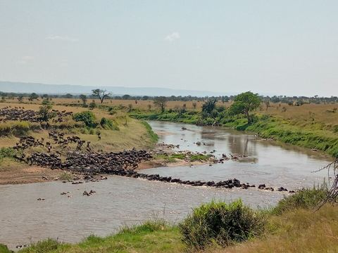 Kogatende