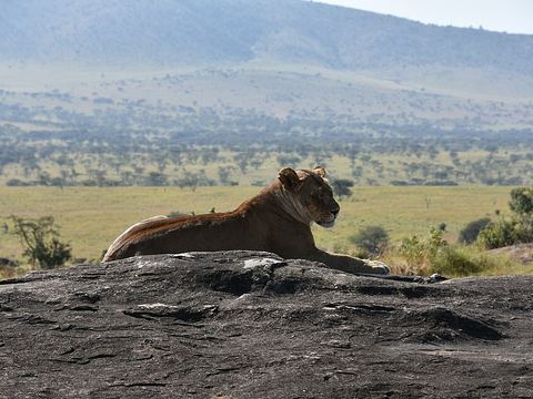 Serengeti National Park