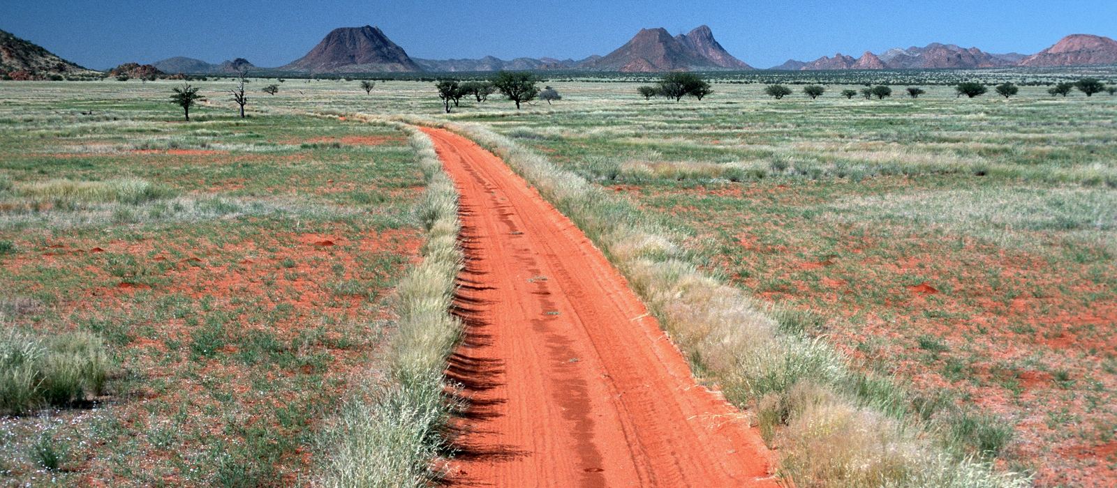 A red sand track crossing the green Marienfluss valley in Kaokoland