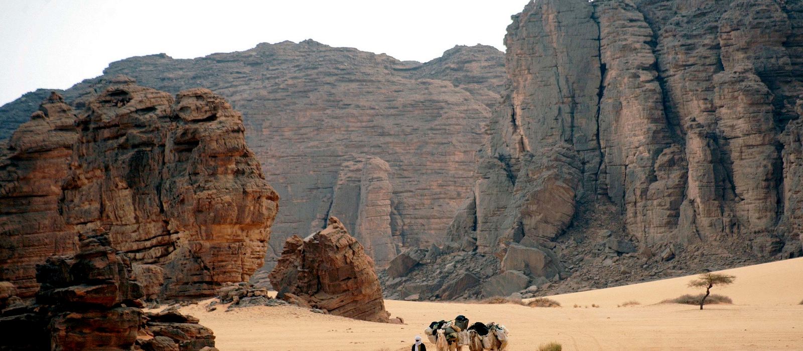 Sandstone rock formations in the Tassili n'Ajjer