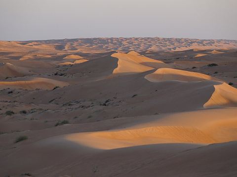 Wahiba Sands